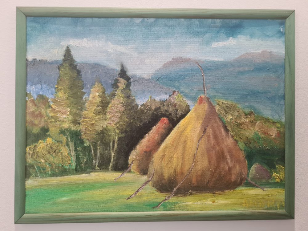 Odihna Câmpului